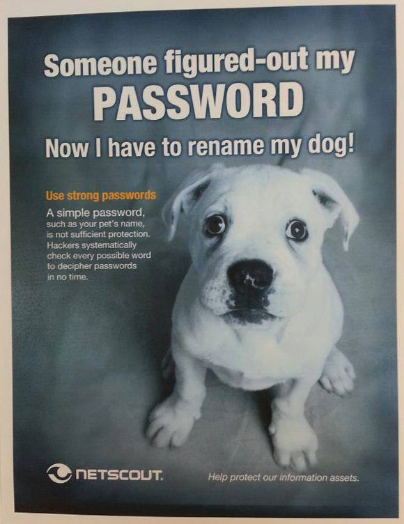 On a trouvé mon mot de passe, faut que trouve un autre nom pour mon chien !