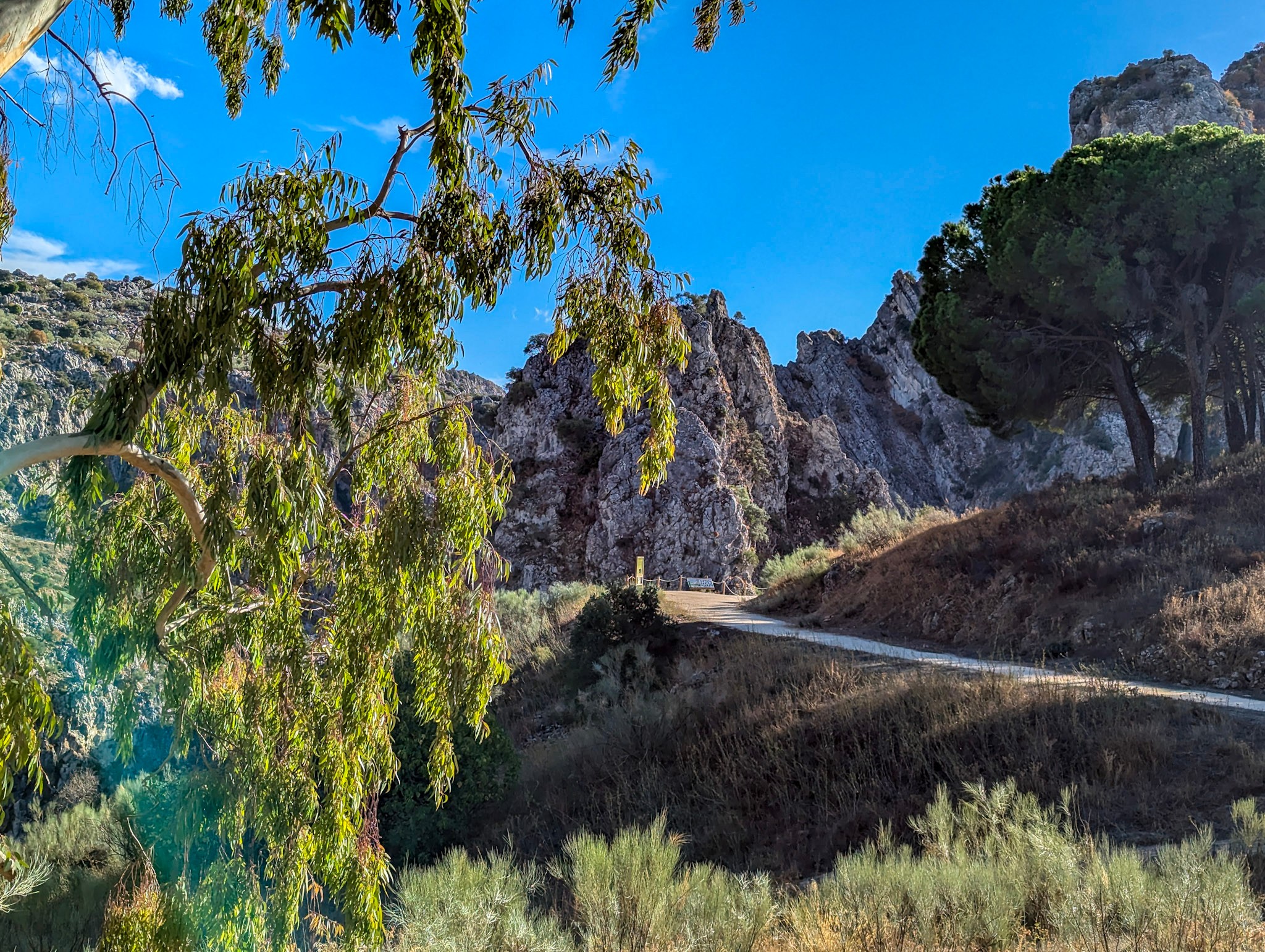 Environs de Montejaque, Andalousie