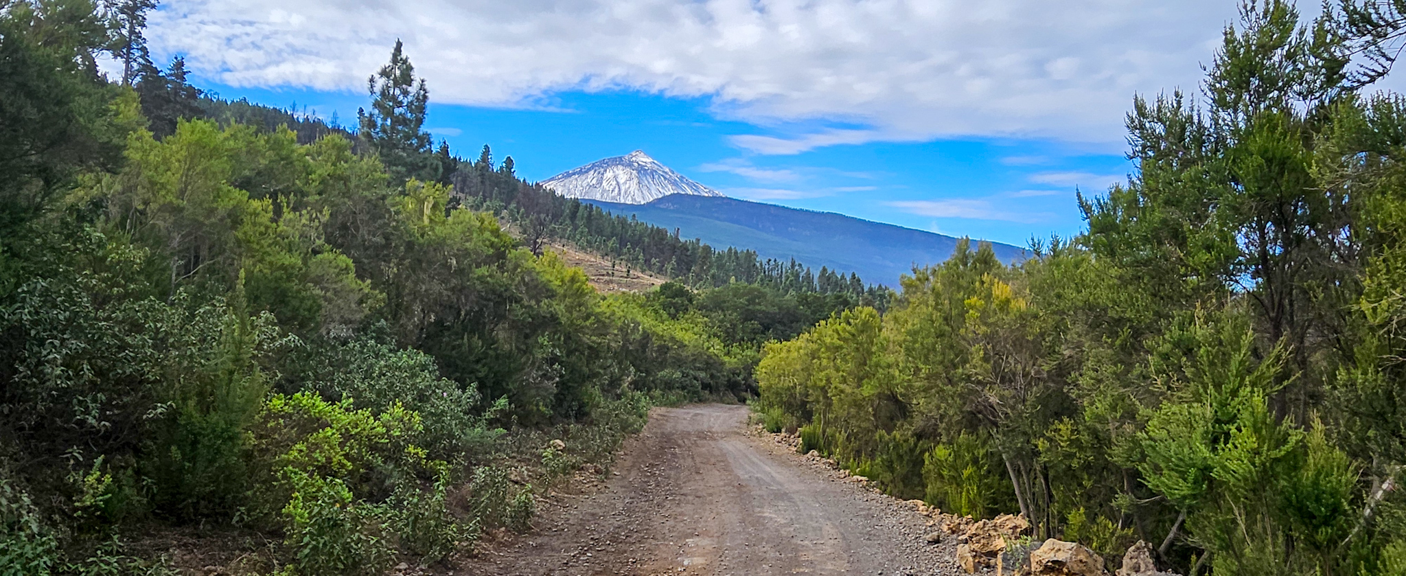 Au fond, le mont Teide, 3700 m