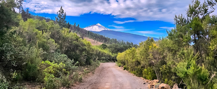 TENERIFE : l'île du printemps éternel