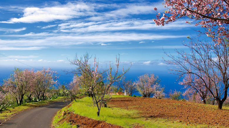 La Palma : photo J. Stamroos