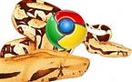 Quelques astuces pour Chrome