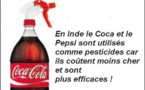 Coca Cola et la formule secrète