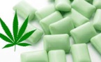 Un chewing-gum au cannabis pour soulager les douleurs de la fibromyalgie !