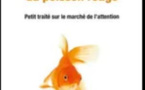 Sommes nous devenus des poissons rouges ?