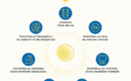 L'importance de la vitamine D pour notre système immunitaire