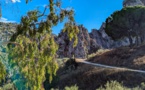 Environs de Montejaque, Andalousie