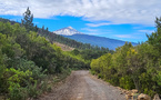 Au fond, le mont Teide, 3700 m