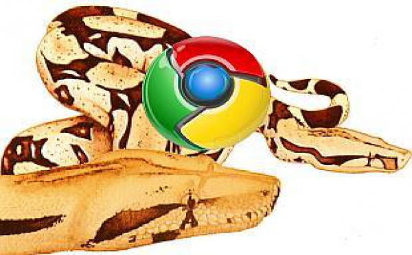 Quelques astuces pour Chrome