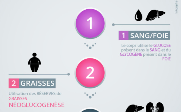 Jeûner trois jours renouvelle totalement le système immunitaire