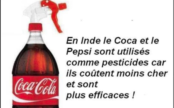 Coca Cola et la formule secrète