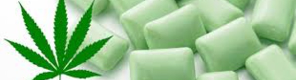 Un chewing-gum au cannabis pour soulager les douleurs de la fibromyalgie !