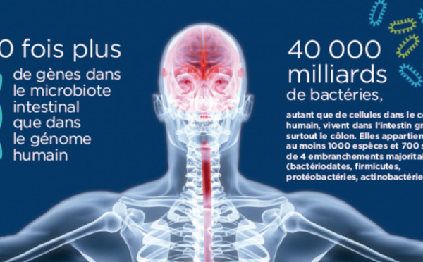 Le ventre peut être le reflet de nos modes de vie, et agit comme une sentinelle