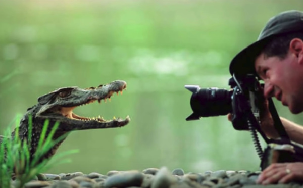 Les photographes animaliers et leurs belles rencontres