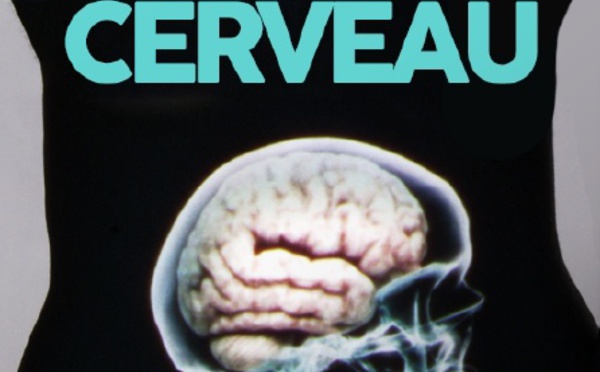 Le ventre : notre deuxième cerveau