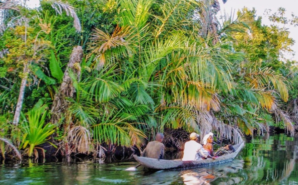 Madagascar, un monde caché