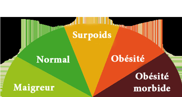 L’obésité tue trois fois plus que la malnutrition dans le monde