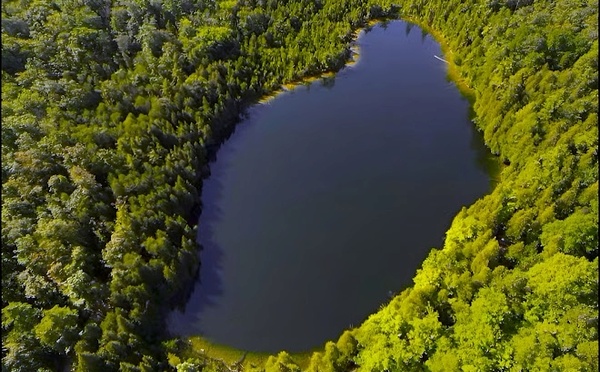 Vue aérienne du lac Crawford près de Milton, Canada,  site de référence mondial du commencement de l'Anthropocène